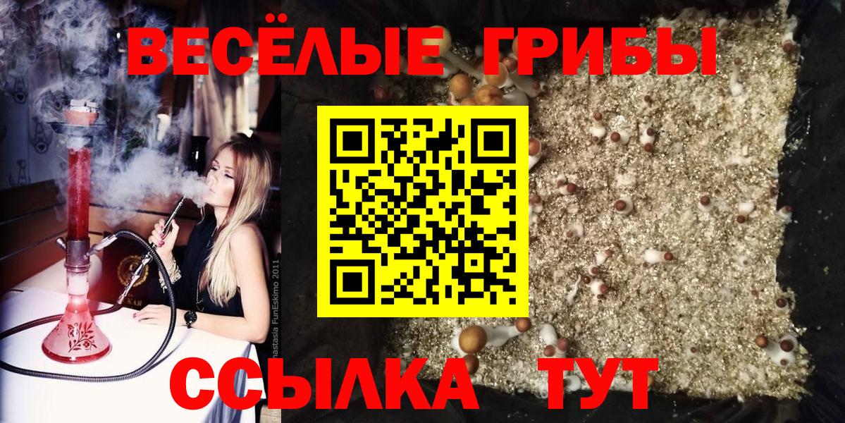 Галлюциногенные грибы мухоморы  Псилоцибиновые грибы GOLDEN TEACHER  Вход с VPN  Старая Купавна 
