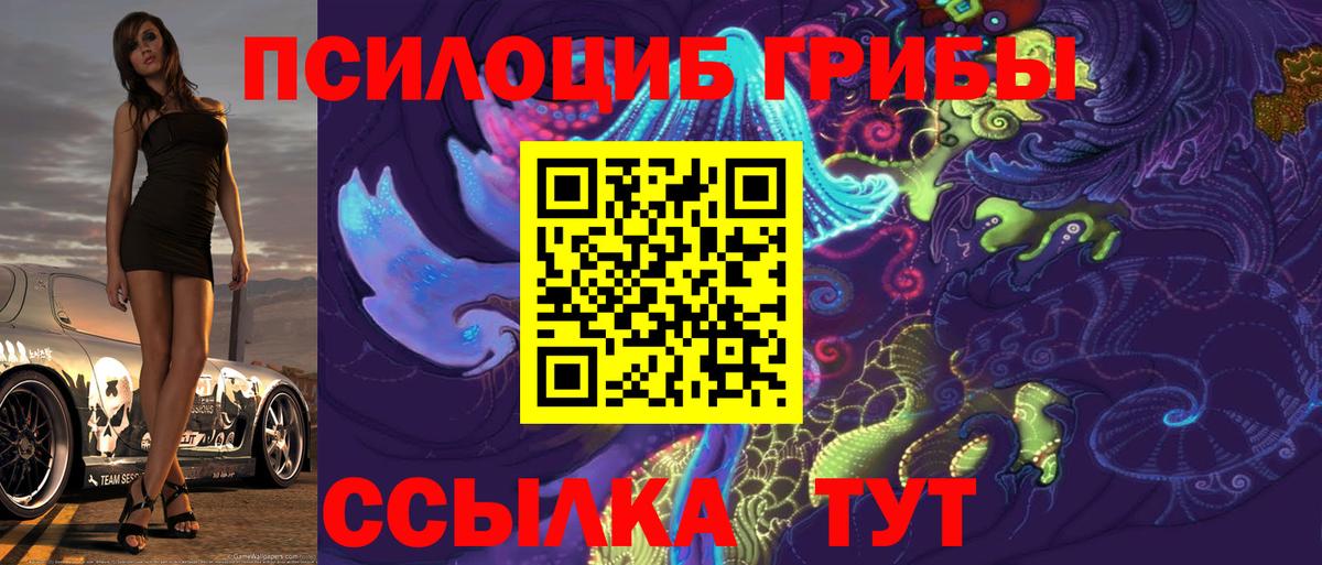 Галлюциногенные грибы Psilocybine cubensis Старая Купавна